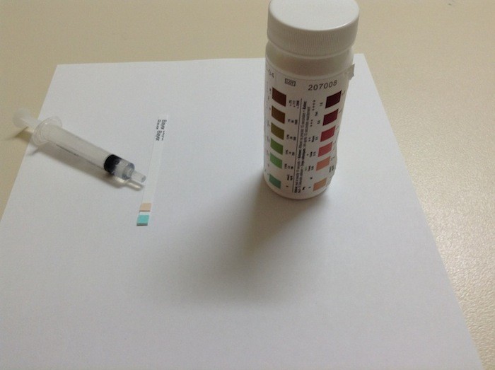 Easy Home Urine Tests Feline Friendly Care